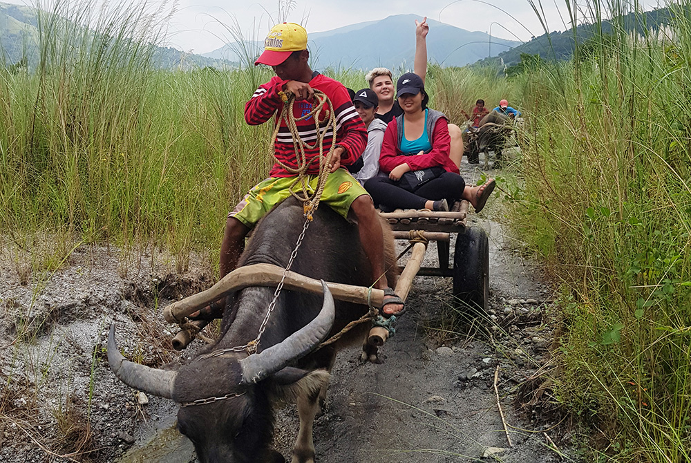 Tim and colleagues on a cart being pulled by a water buffalo 