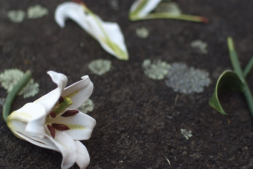 A ceramic flower sitting on concrete ground with lichen 