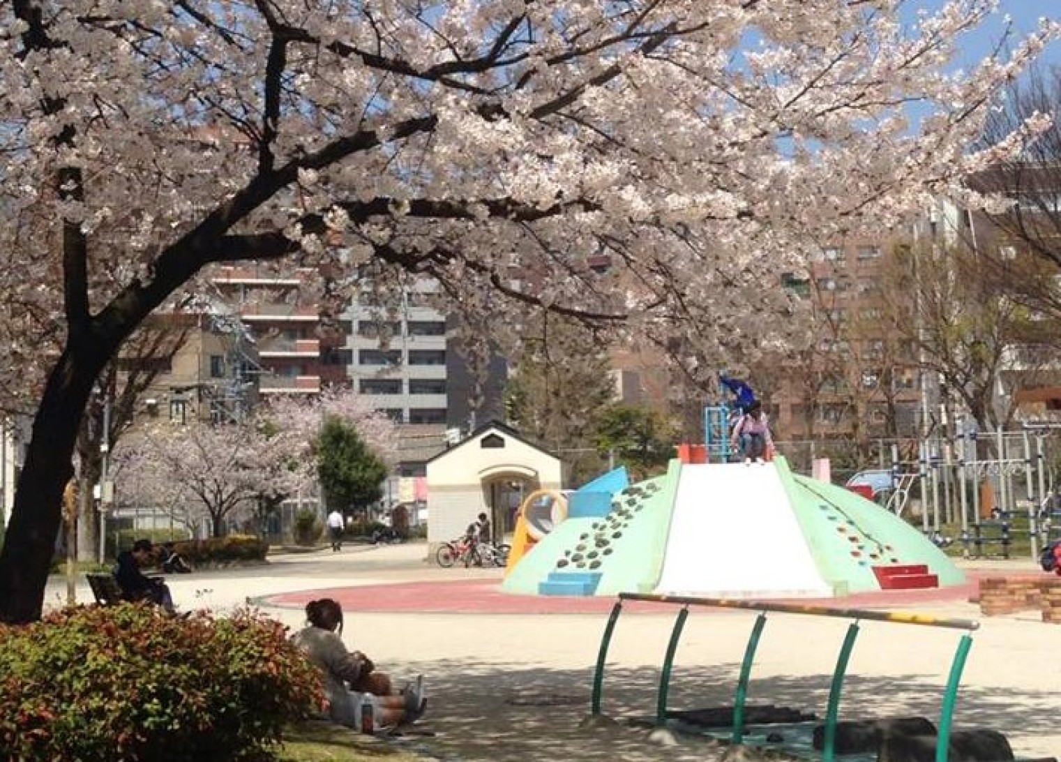 Playground in Japan with cherry trees