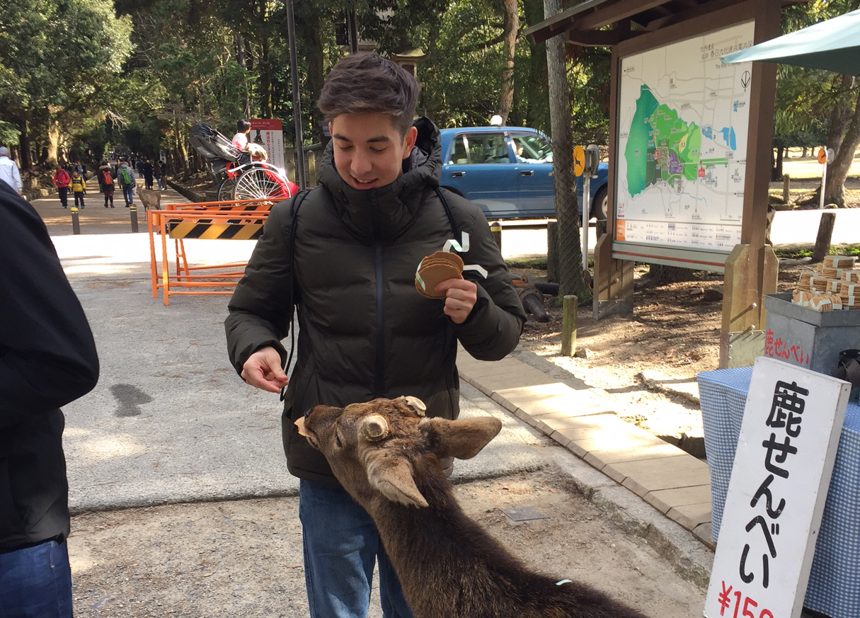 Man standing giving food to goat