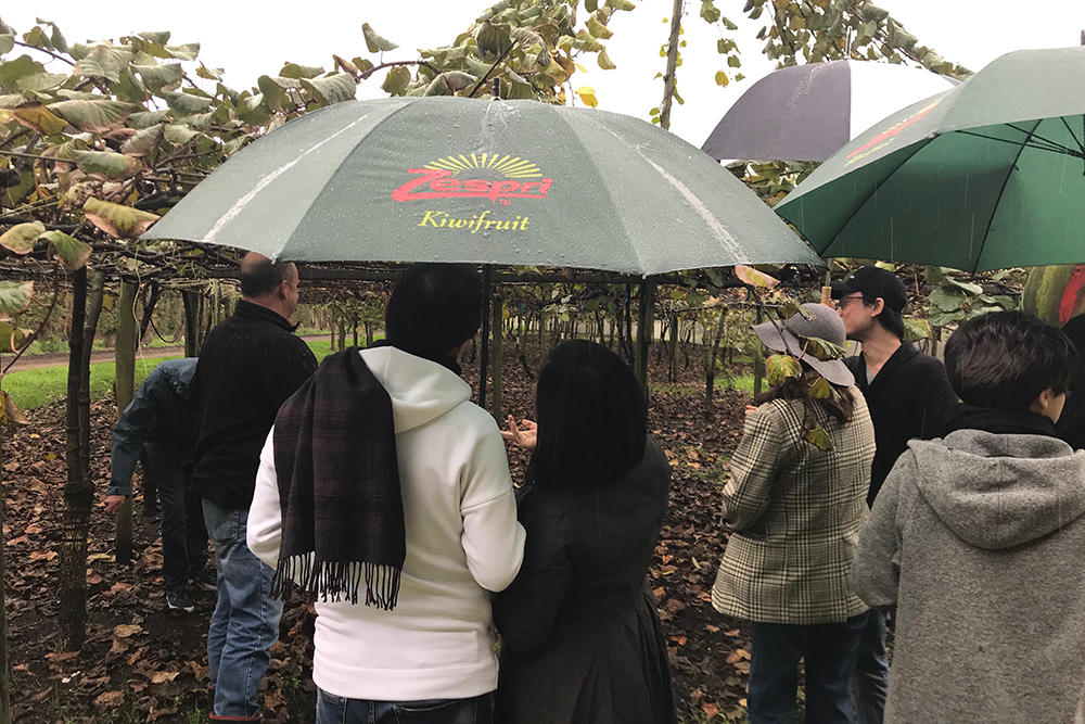 Entrepreneurs visit a Zepri NZ orchard