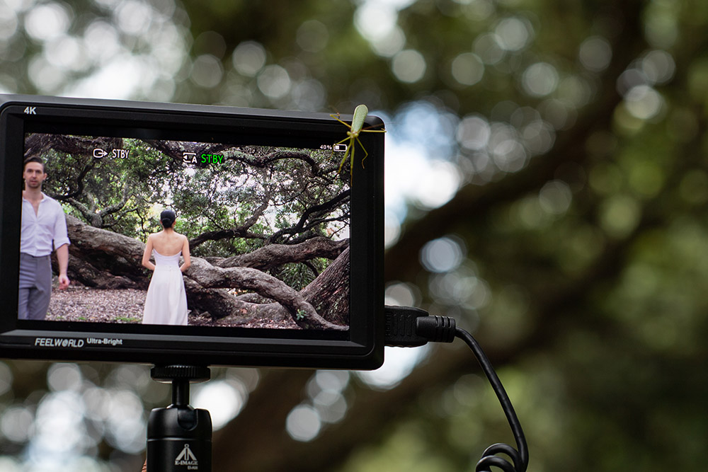 A photo of the screen of a camera on which Paul and Mayu can be seen standing near the limbs of a large pohutukawa tree